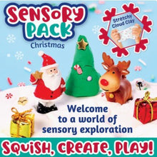 Load image into Gallery viewer, Sensory Pack Christmas Holiday Play Kit