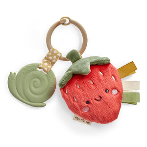 Itzy Pal™ Plush + Teether