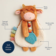 Load image into Gallery viewer, Itzy Lovey™ Plush And Teether Toy
