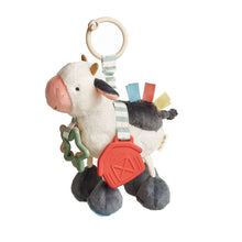 Load image into Gallery viewer, Link &amp; Love™ Teething Activity Toy
