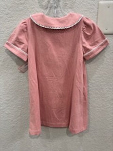 Collared button dress NWT - 2T