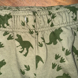 dinosaur print pocket shorts (missing drawstring) 5/6