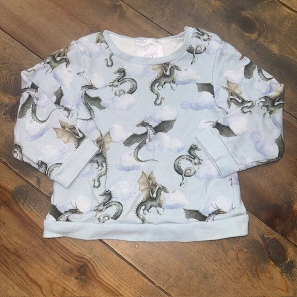 LS Dragon Sweatshirt 5T