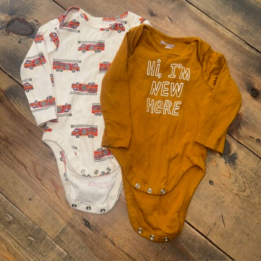 2 pack long sleeve bodysuits 6/12M