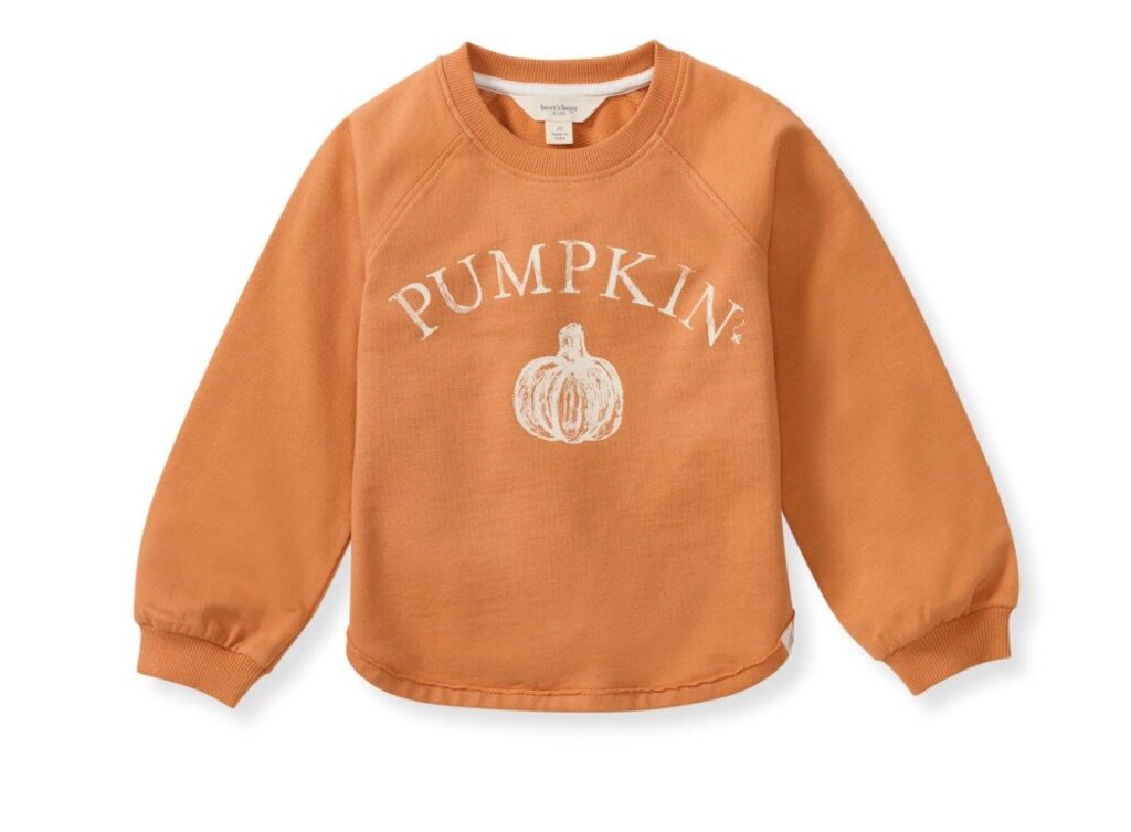 Pumpkin Organic Cotton Sweatshirt - Infant