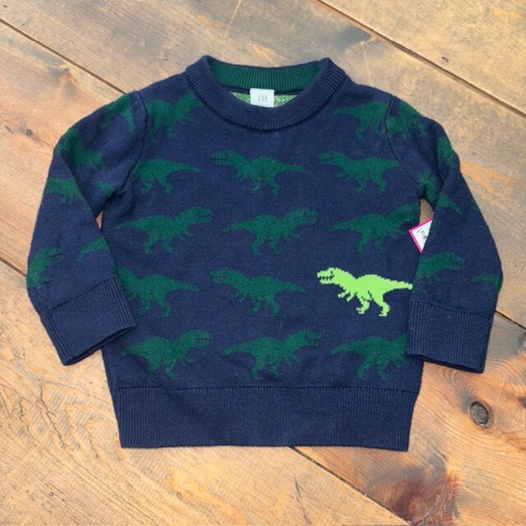 Dinosaur Sweater 12/18M