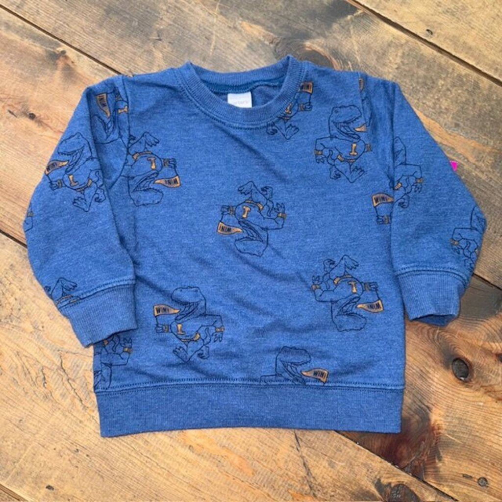 Dinosaur Sweatshirt 18M