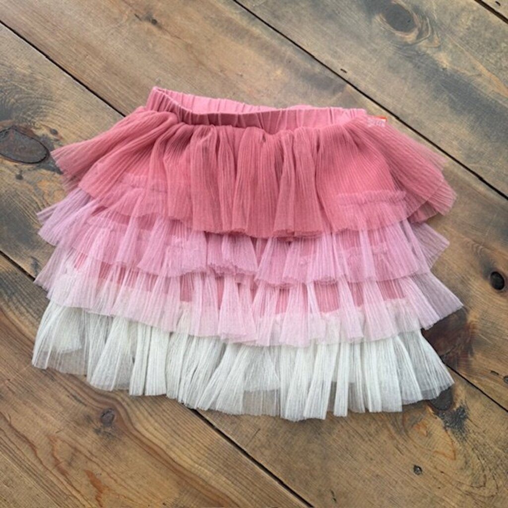 Tulle Skirt 6