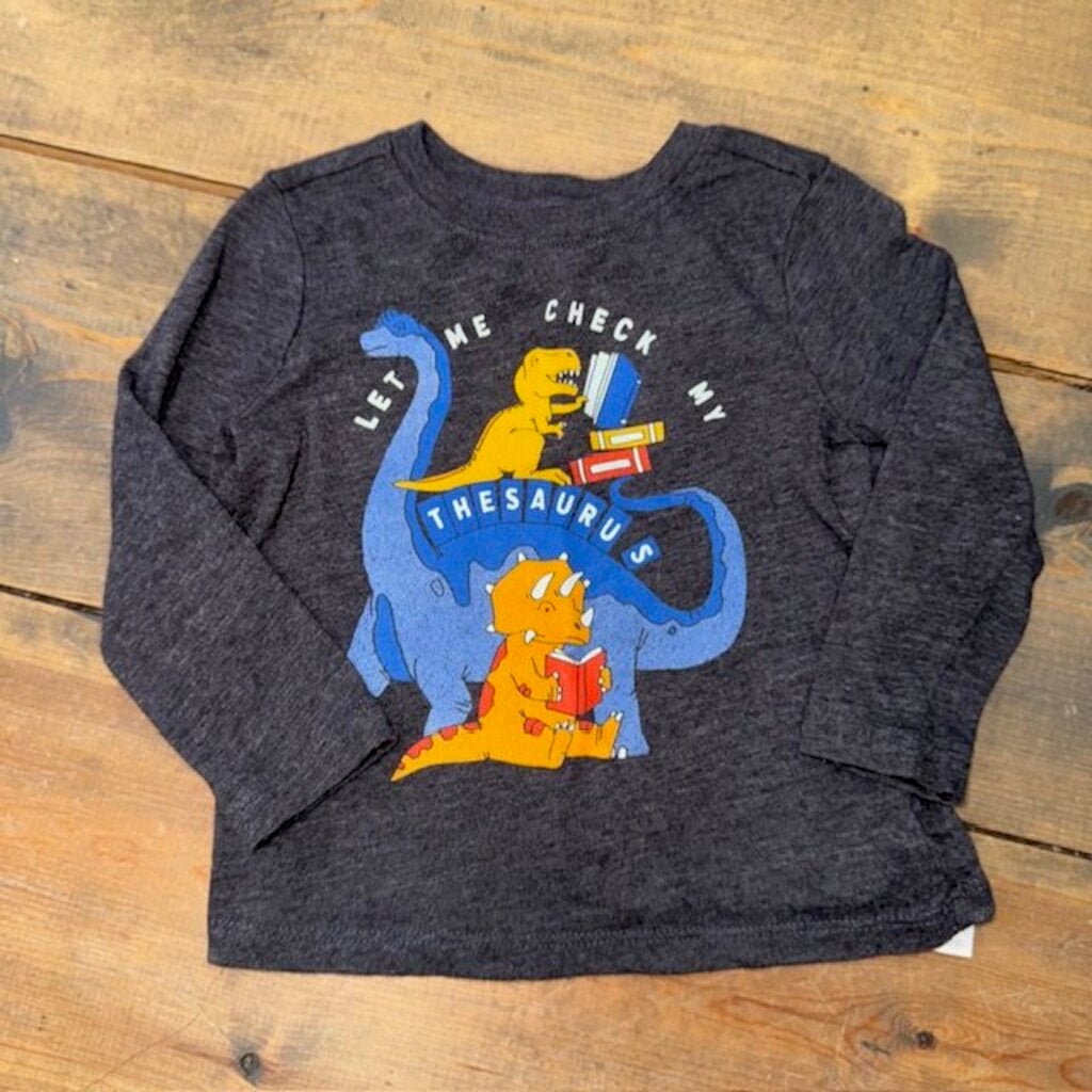 Dinosaur Tee 18/24M