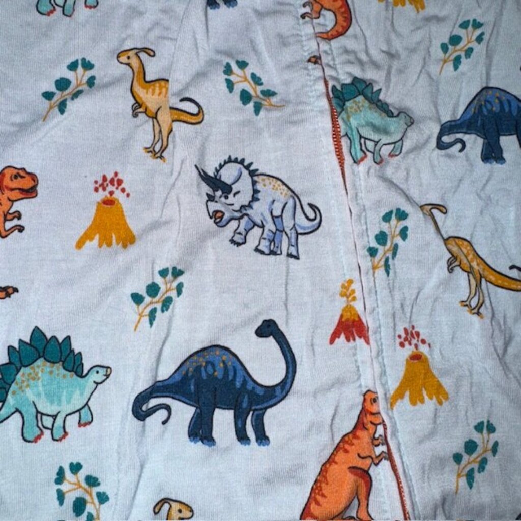 bamboo dino footie 2T