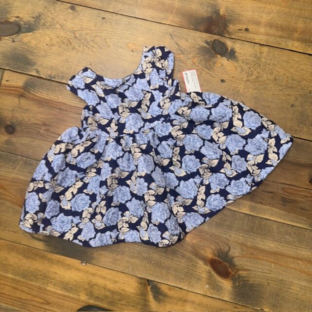 rose pattern special occasion dress 3/6M
