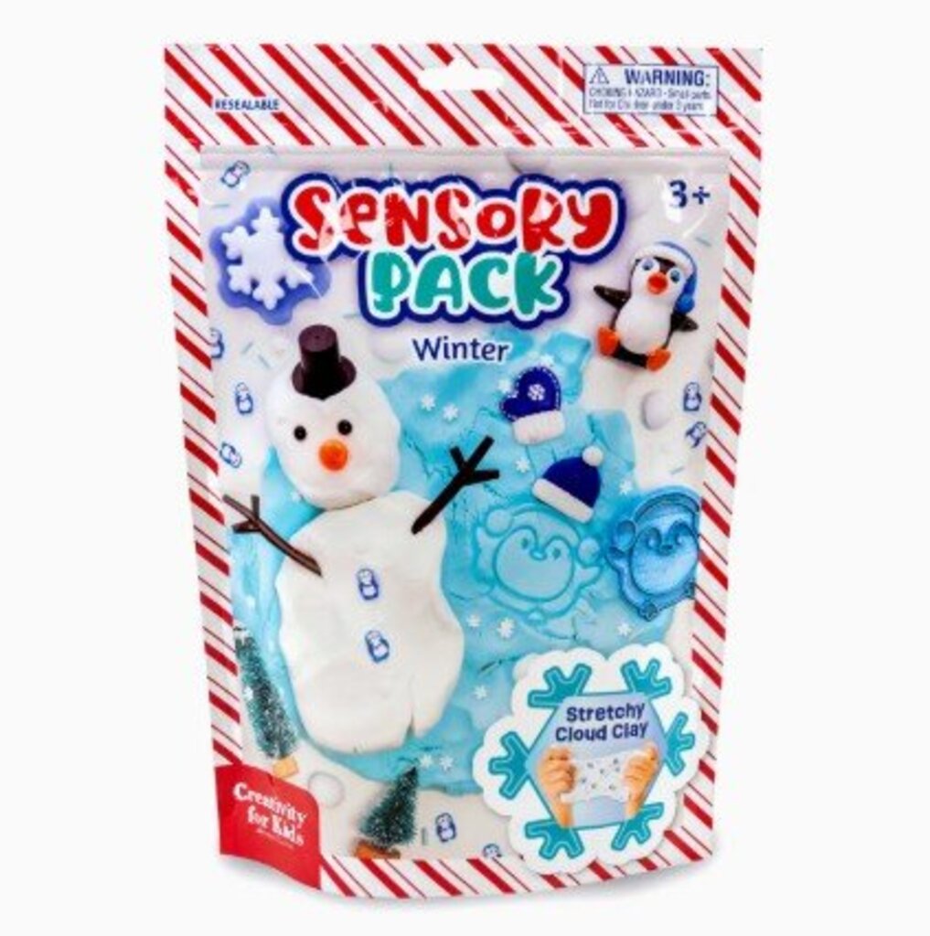 Sensory Pack Winter & Holiday Play Kit