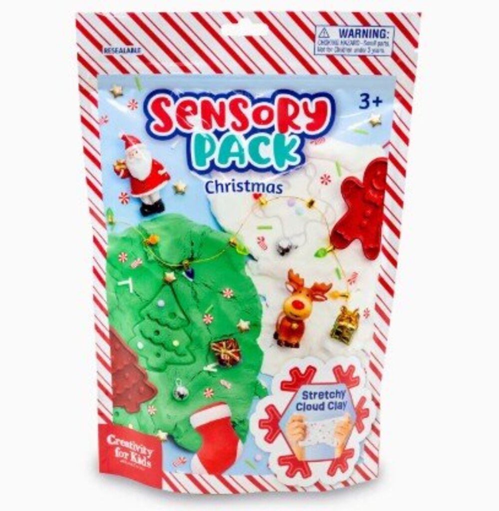 Sensory Pack Christmas Holiday Play Kit