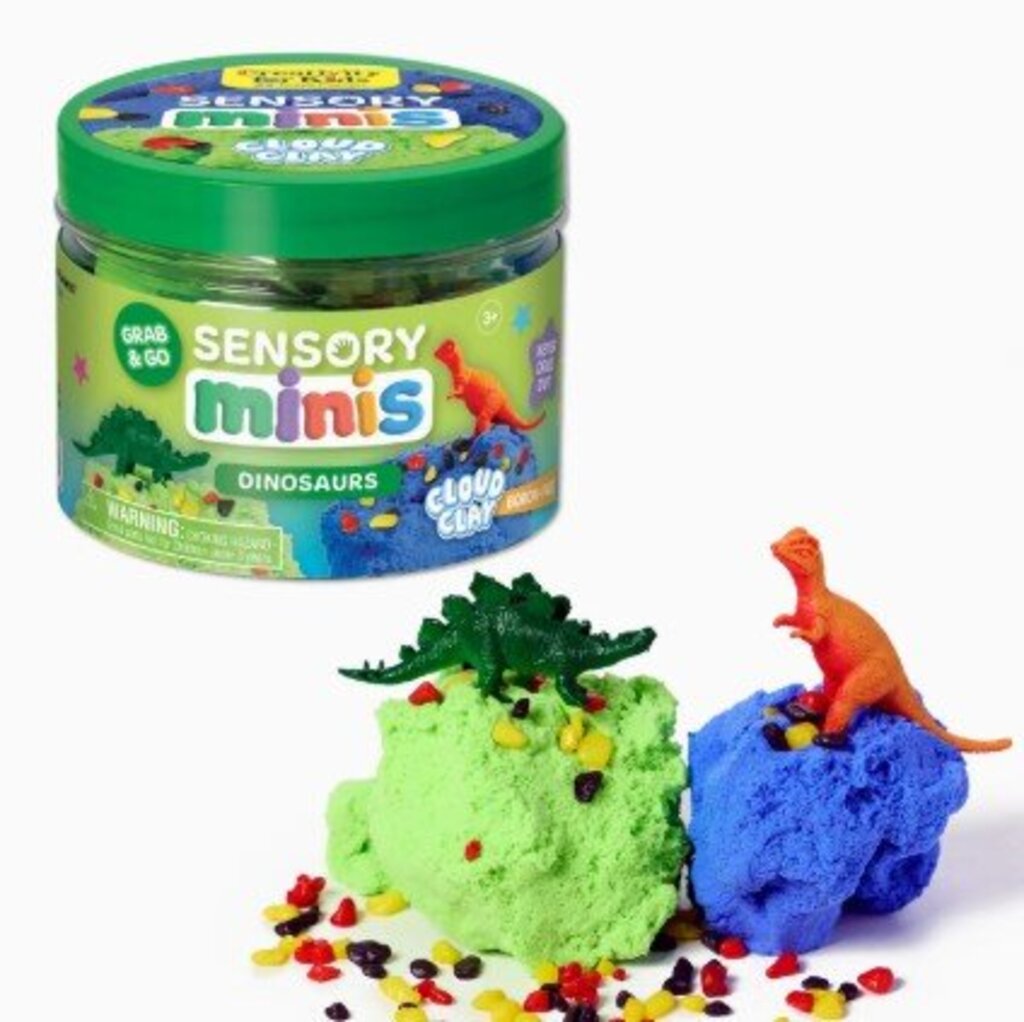 Sensory Mini Play Kit