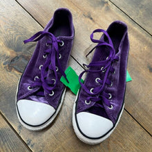 Load image into Gallery viewer, Velvet Shoes 3
